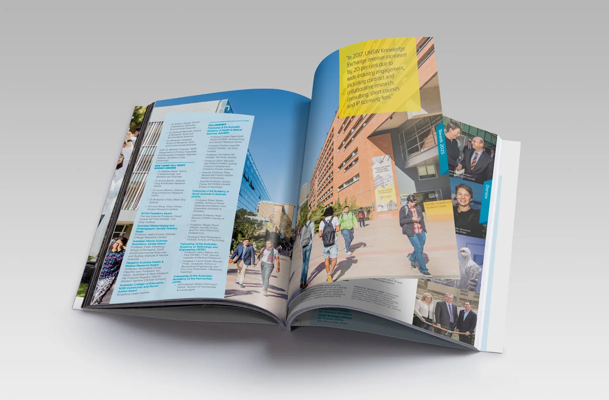 UNSW Annual Report Magazine Design Review Financials Publication Fresco Creative Surry Hills Graphic Icons Charts Tables University of New South Wales Financial Statements