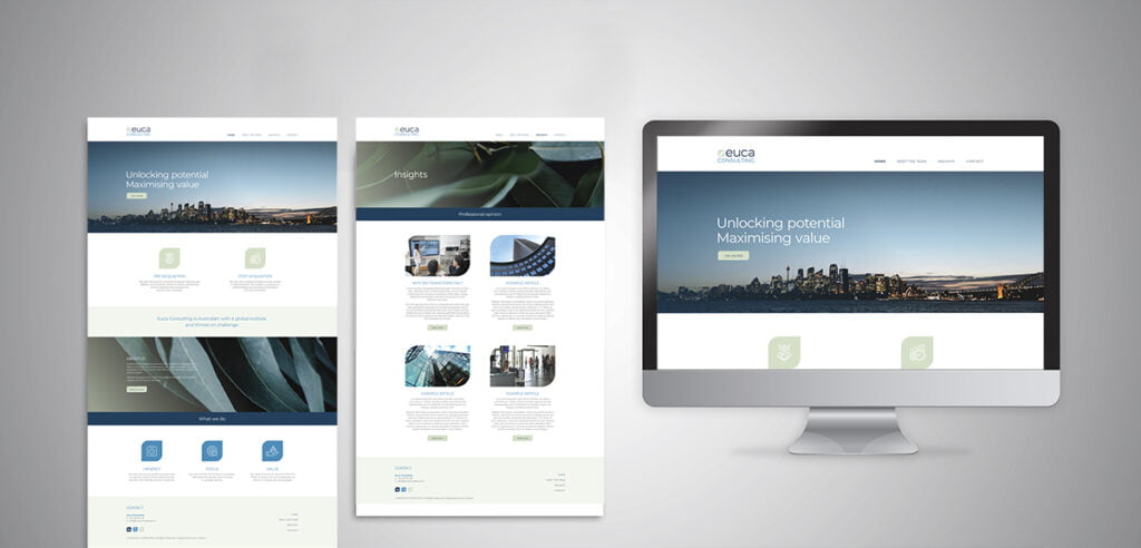 Euca Consulting Website Design by Fresco Creative