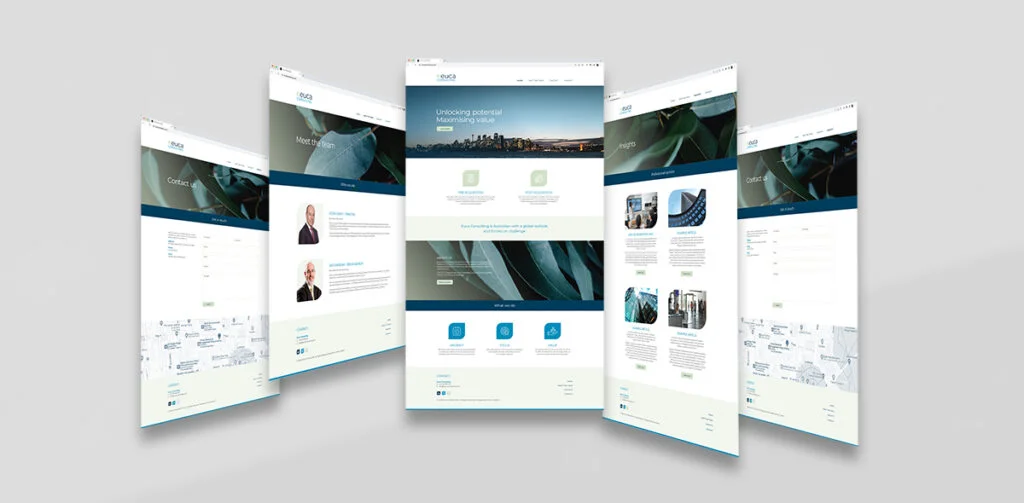 Euca Consulting Website Design by Fresco Creative