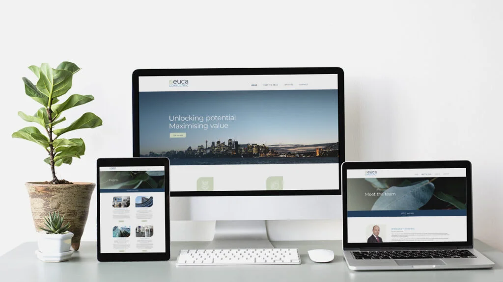 Euca Consulting Website Design by Fresco Creative